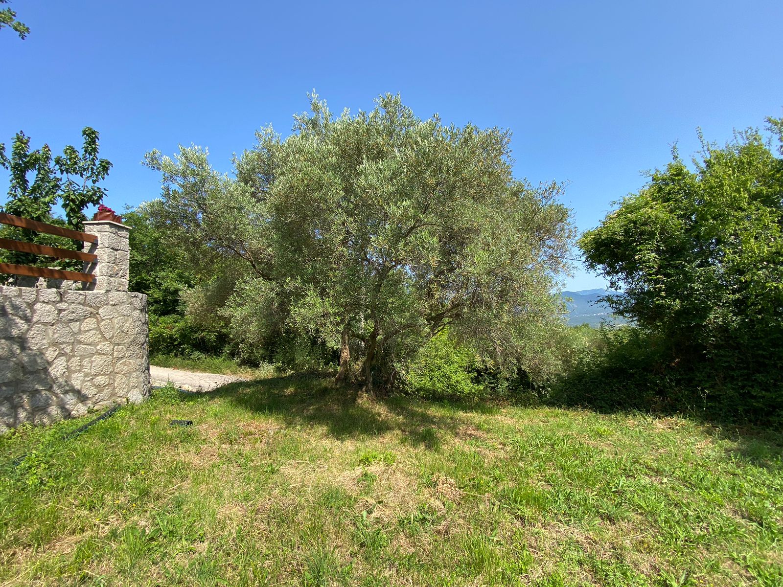 537 m² Urbanized Land