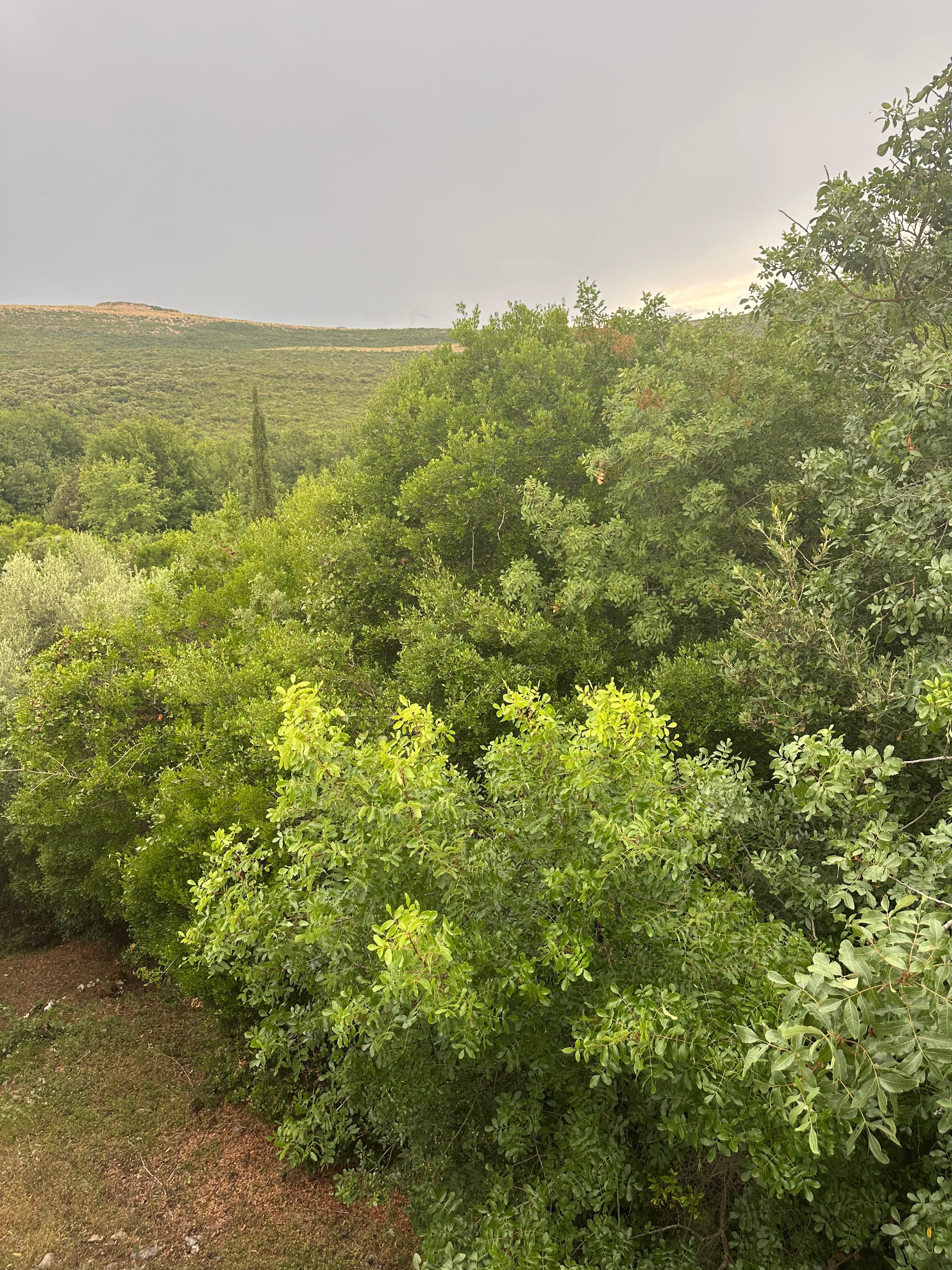 700 m² Urbanized Land