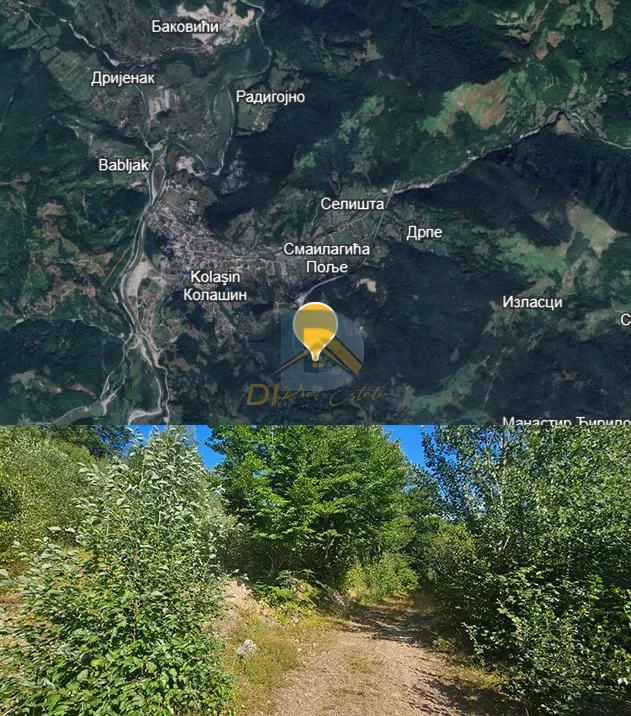Land 6000m²