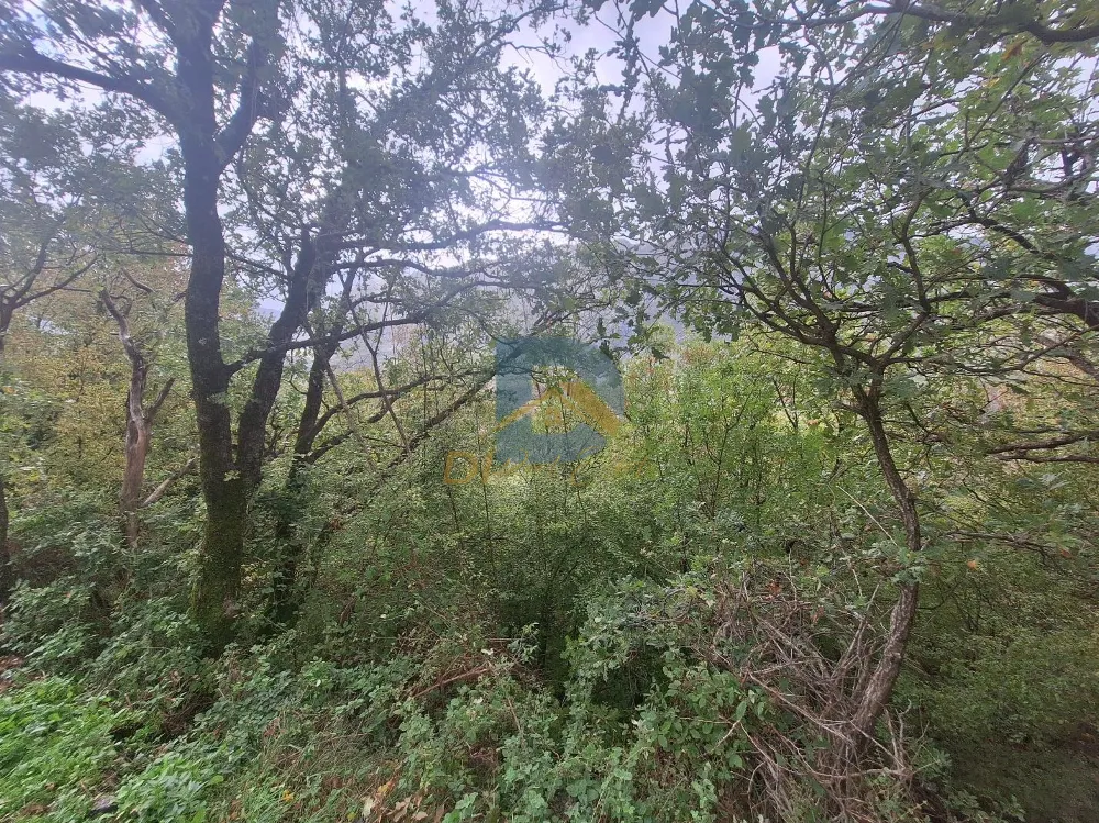 For Sale Land