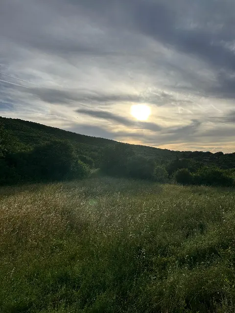 Land 358m²